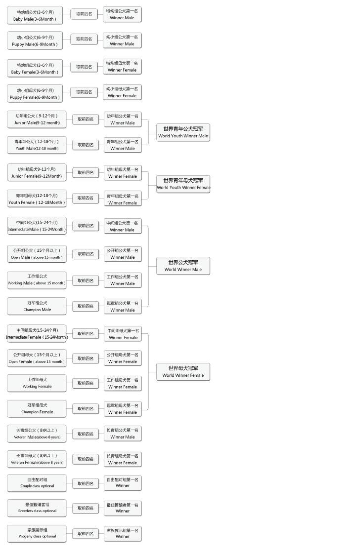世界展流程图cs6.jpg