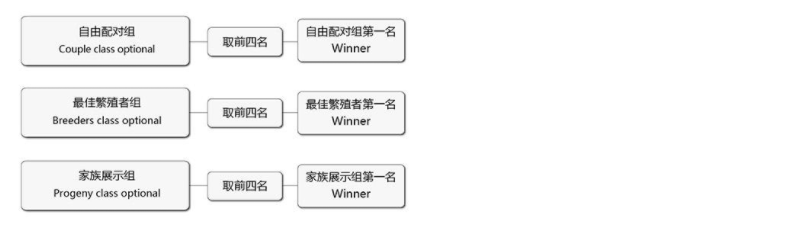 微信图片_20190321092953.png