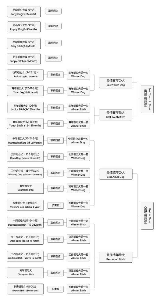19本部展流程图-01.jpg 19本部展流程图-01.jpg