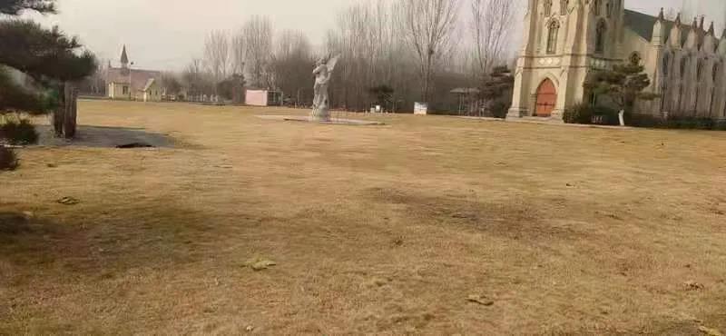 微信图片_20211130140006.jpg 微信图片_20211130140006.jpg